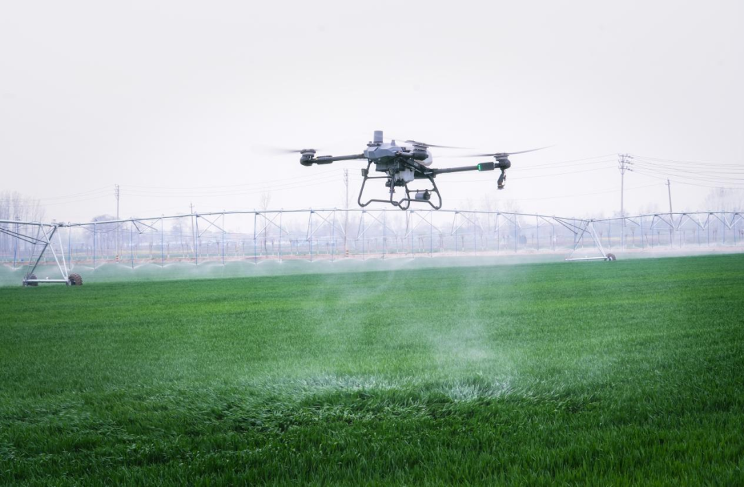 “移”起向新丨中国移动以“新”提质为区域发展聚势赋能