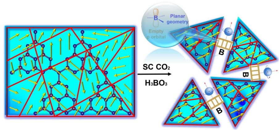 Science“125个重大科学问题”迎新进展:科学家揭示二维铜/三氧化钨的室温磁性,解决自旋电子学材料应用难题