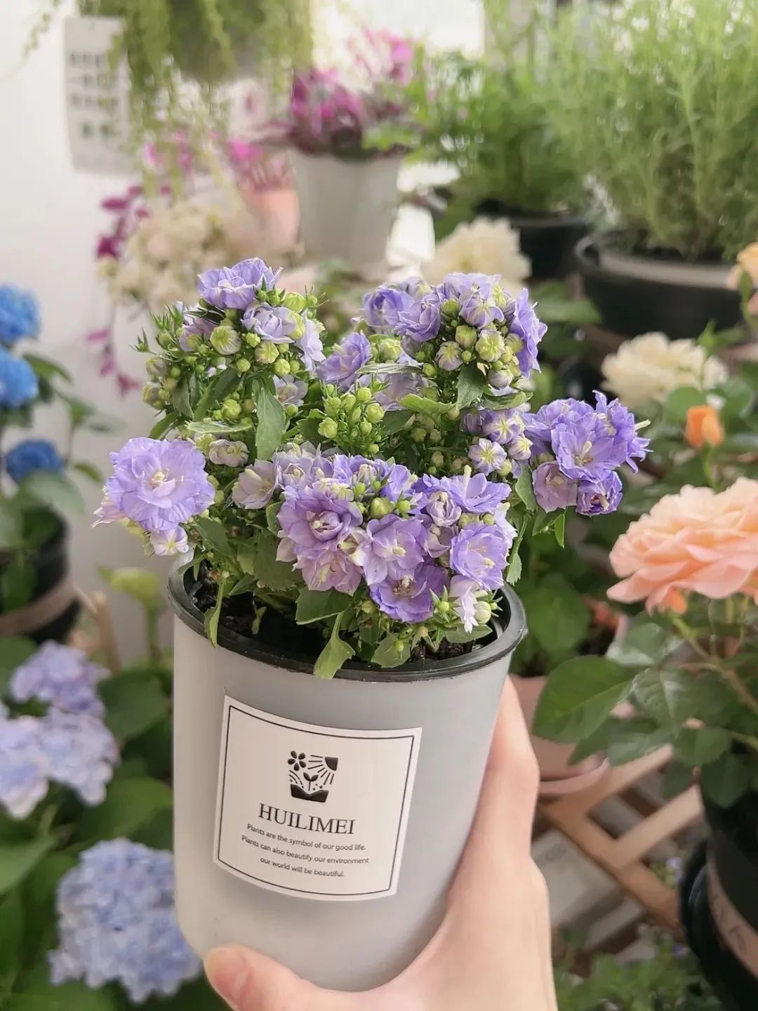 离开大厂去国企,他们过上想要的生活了吗?