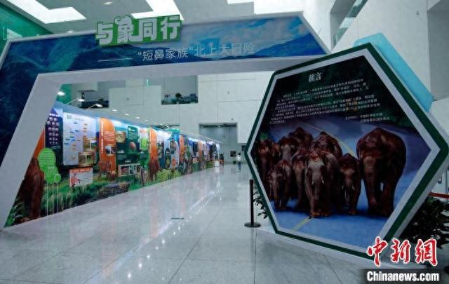 科普中国官网入口 1e21-13fb094991718d6070be0261699df8db.jpg