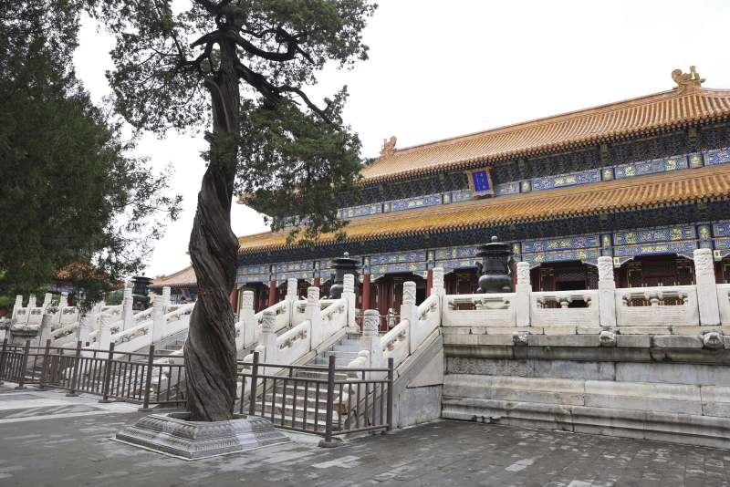 专访景山公园规划建设科负责人:探索打造中轴线上的文化会客厅