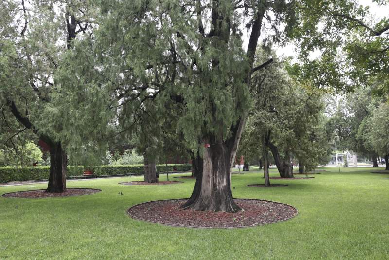 专访景山公园规划建设科负责人:探索打造中轴线上的文化会客厅