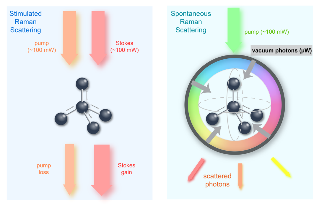 科学家提出拉曼二象性新理论，为理解拉曼散射带来新视角，促进物质成像技术进一步发展