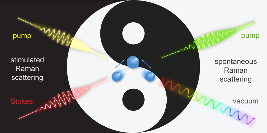 科学家提出拉曼二象性新理论，为理解拉曼散射带来新视角，促进物质成像技术进一步发展