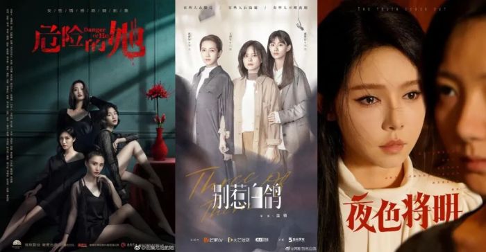 婆婆自制悬疑短剧,婆婆自制悬疑短剧视频