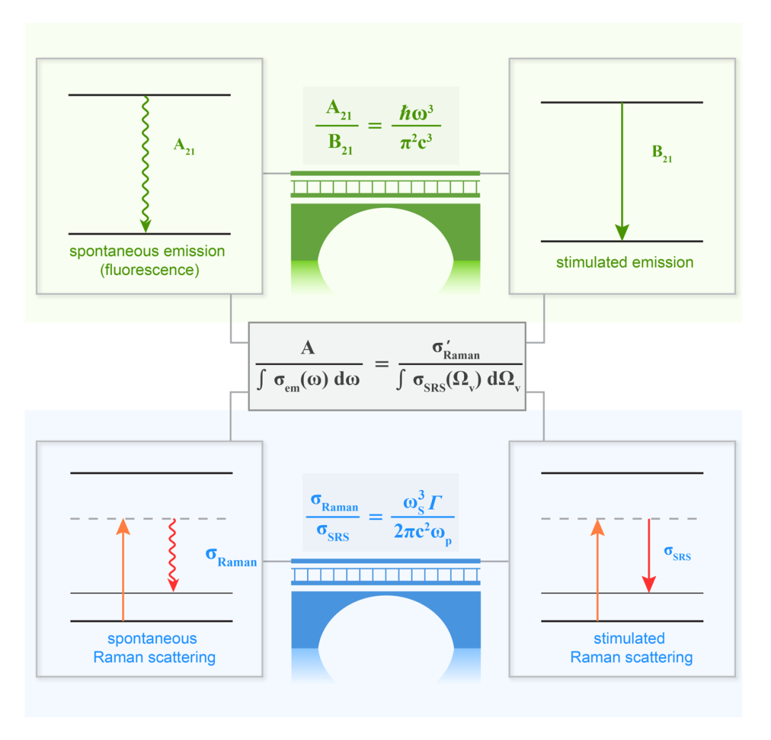 科学家提出拉曼二象性新理论，为理解拉曼散射带来新视角，促进物质成像技术进一步发展