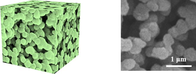 川大团队研发3D打印软骨组织新技术，为软骨修复与重建提供新方法