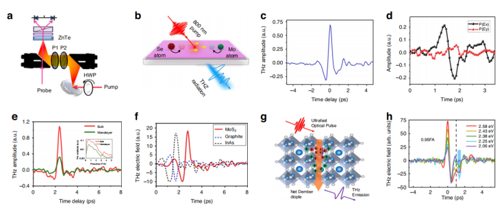 开启二维材料物理新视角：科学家阐述太赫兹发射的非线性过程，为设计太赫兹新器件夯实基础