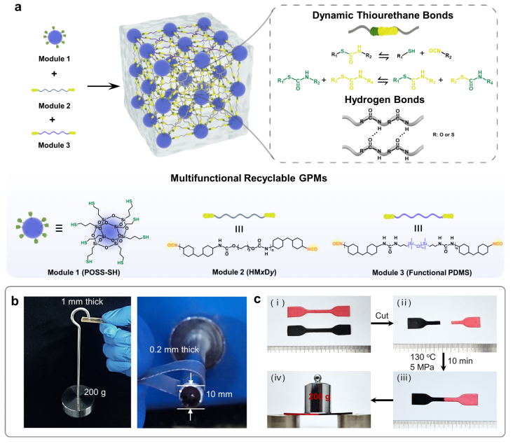 华工团队研发分步杂化新策略,造出玻璃状高分子材料