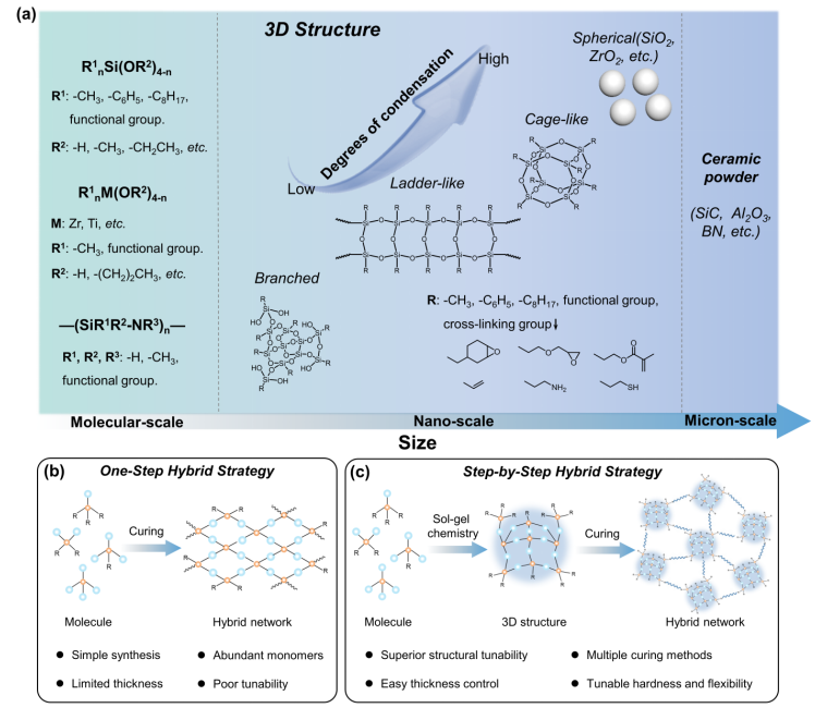 华工团队研发分步杂化新策略,造出玻璃状高分子材料