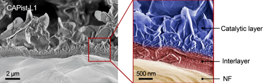 稳定性超19100小时,孙立成院士团队创造电解水制氢催化剂新记录