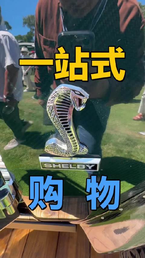 车展上还卖游艇你敢信？