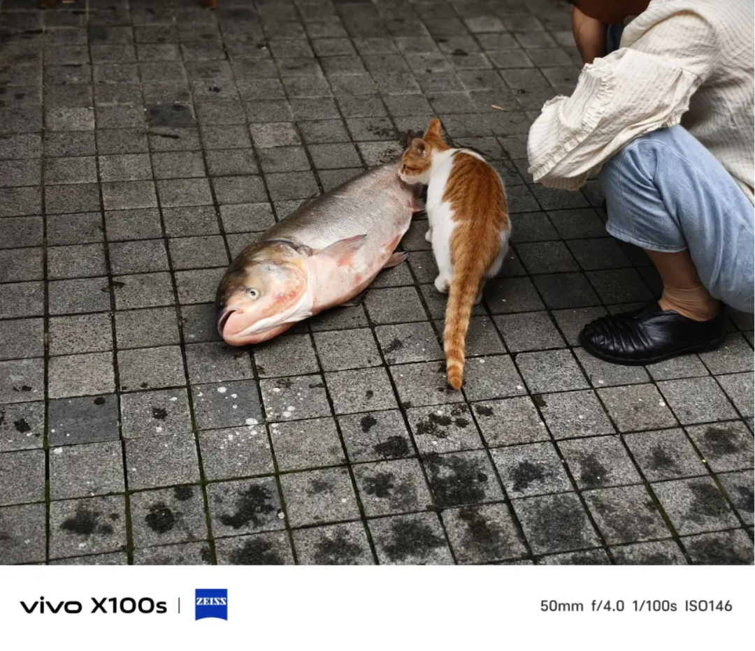 iPhone 16定档!相机参数彻底曝光