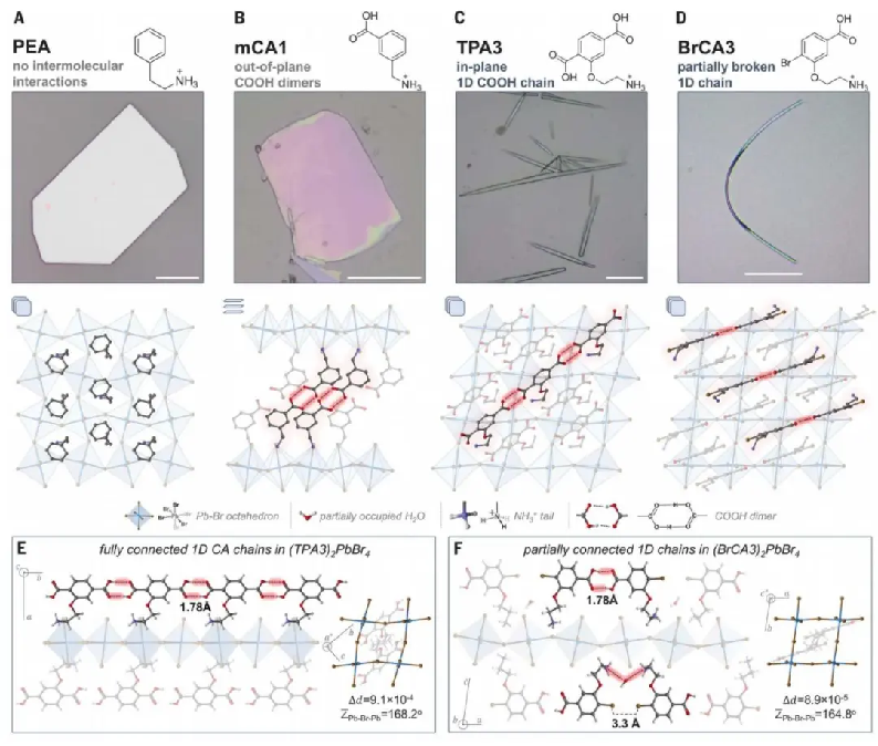 普渡团队研发新型半导体纳米线激光器,有望用于光子电路和激光探测