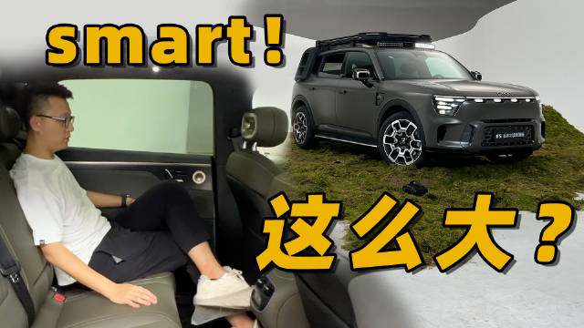 最叛逆的smart！居然这么大大大！