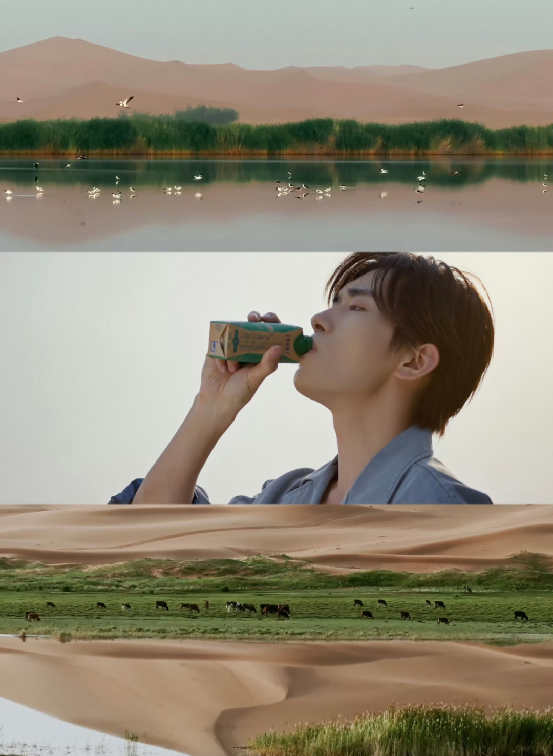 特仑苏818会员日的第四年,看品牌如何做好长周期营销