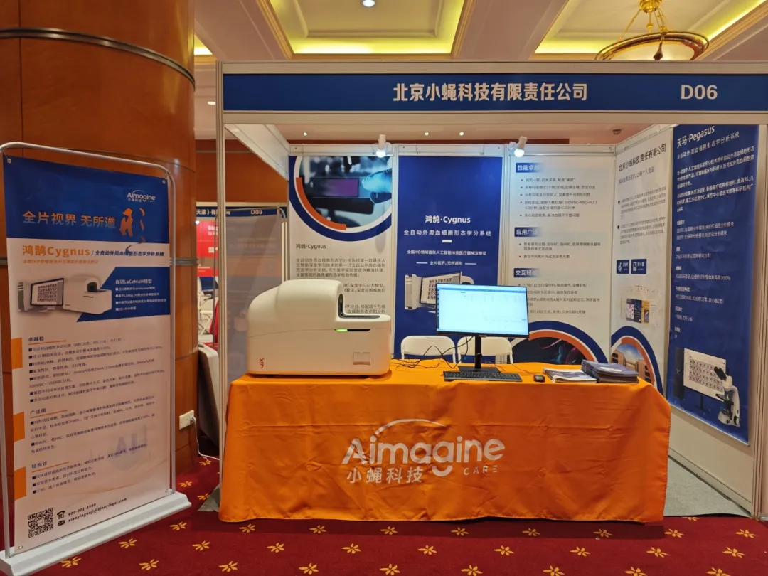 暮夏沐日,微风送秋|Z News