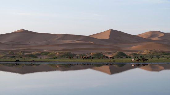 特仑苏818会员日的第四年,看品牌如何做好长周期营销