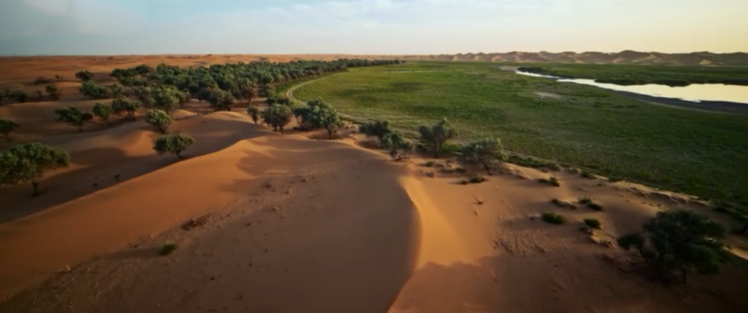 特仑苏818会员日的第四年,看品牌如何做好长周期营销