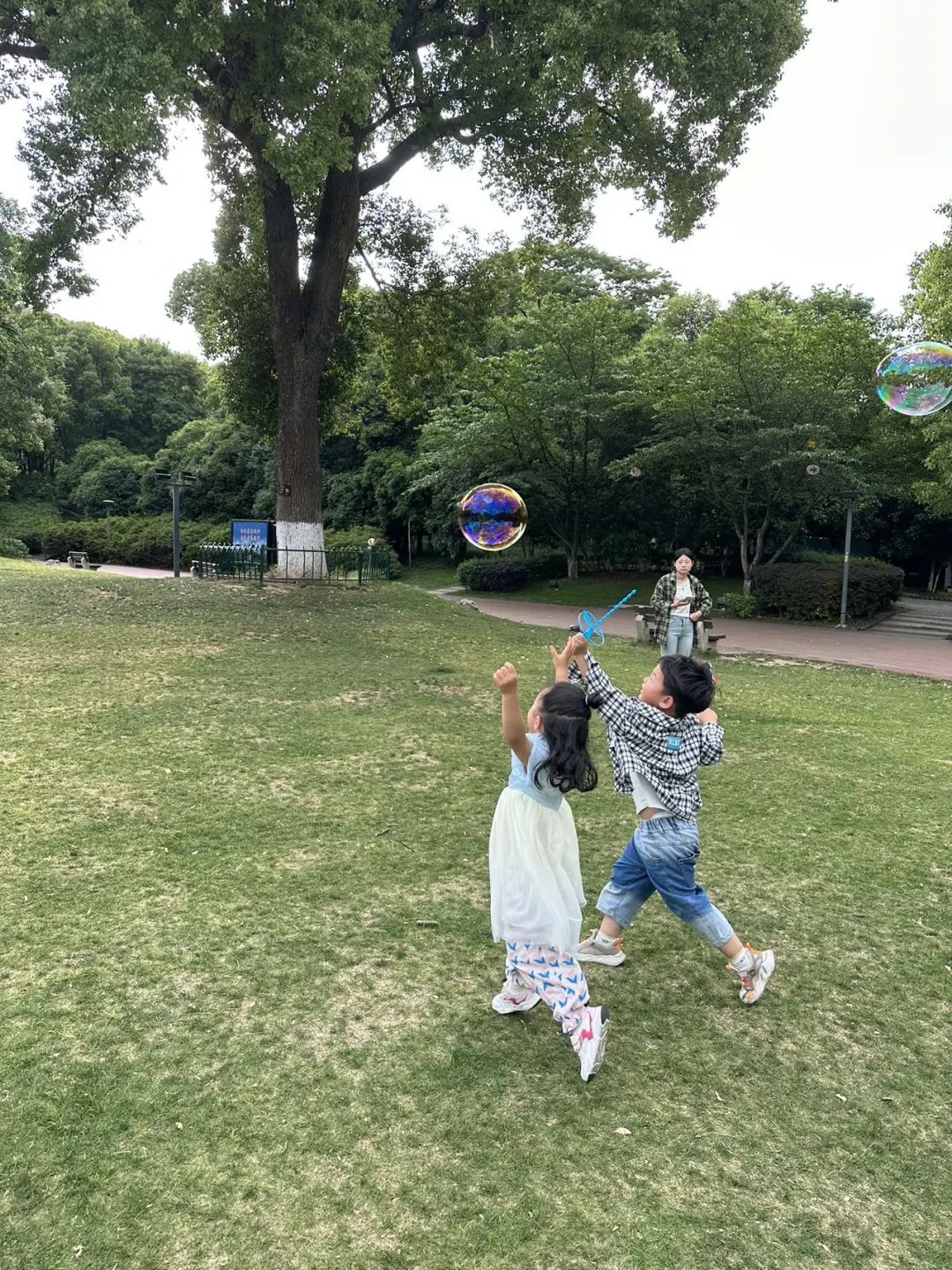 ▲柠檬带小朋友出去玩