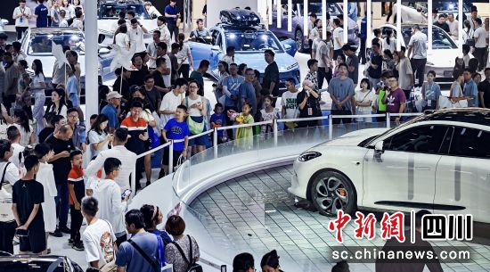 蓝皮书：为何中国汽车要走全球化之路