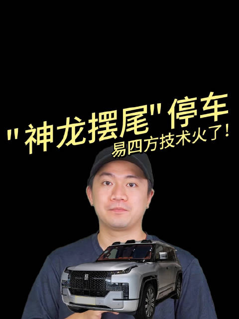 不是吧！居然还有这么多人不知道仰望U8的易四方技术？