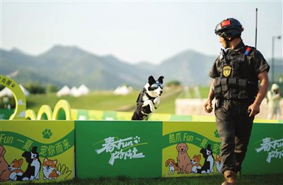 图片由受访单位提供