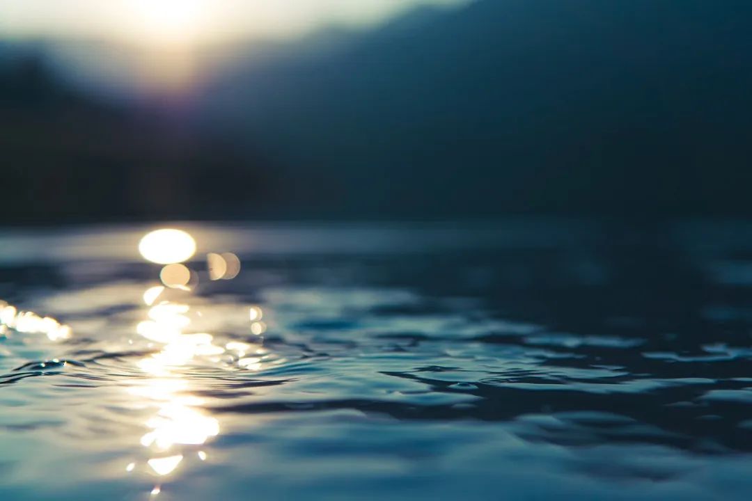 (图源:pixabay)