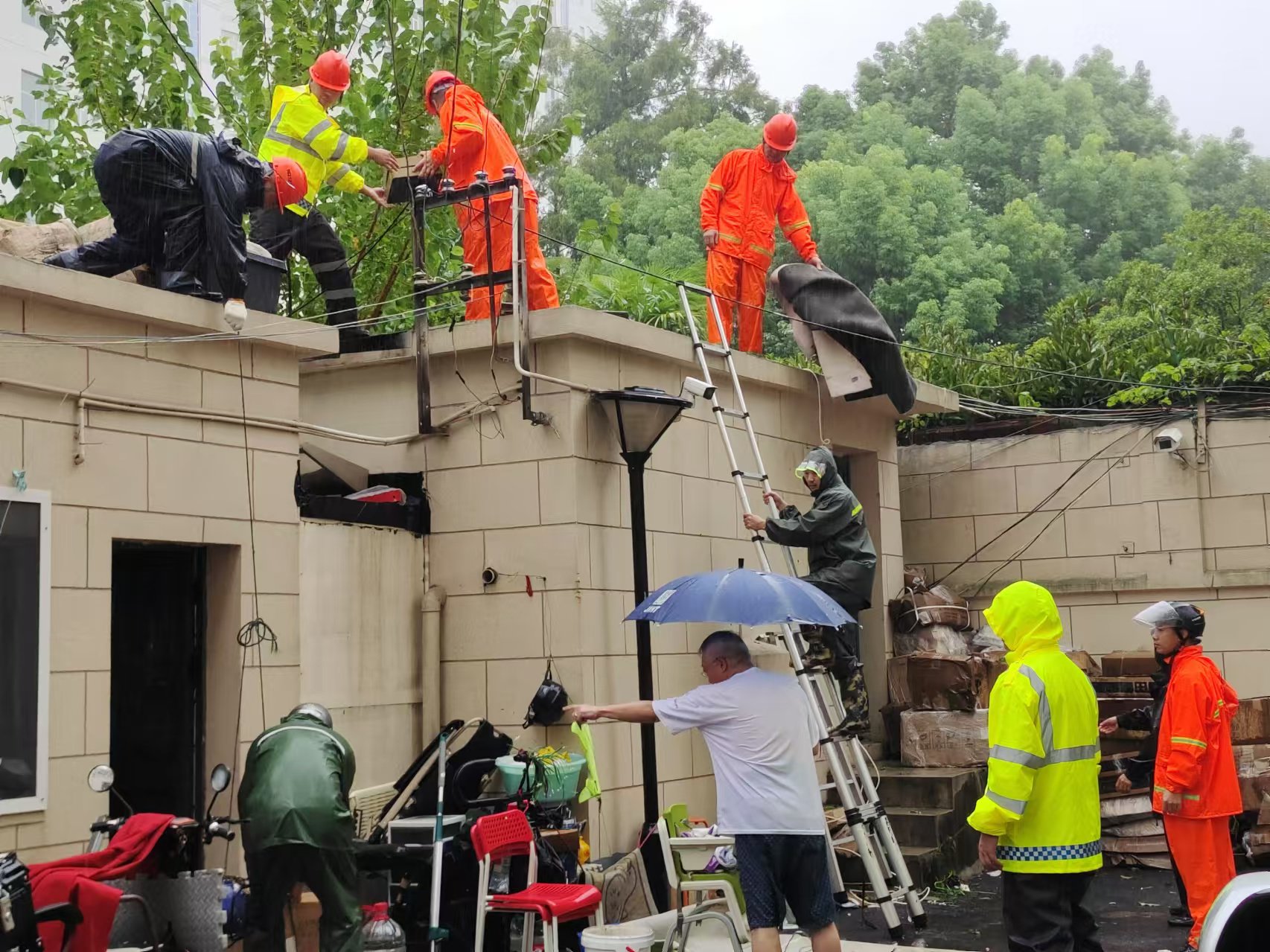 紧急抢修断电、处置树木倒伏……上海基层党员在行动