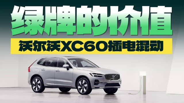 如果你生活在尾号限行但是新能源绿牌可以豁免的城市…