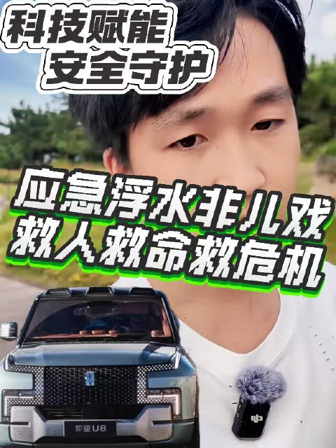 适逢仰望U8上市一周年