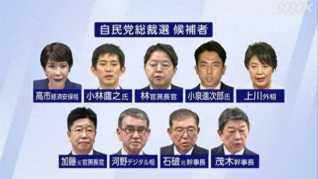 日本自民党总裁选举倒计时 小泉进次郎向麻生太郎求支持  第1张