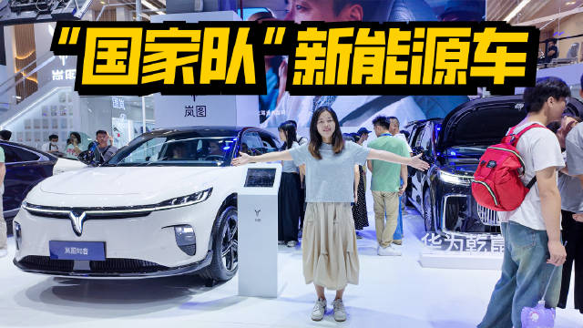 实拍“国家队”新能源车：岚图知音、全新梦想家，人气很高！