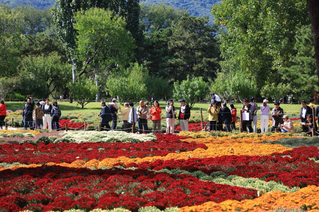 遊客徜徉在國家植物園花海中。北京市公園管理中心供圖