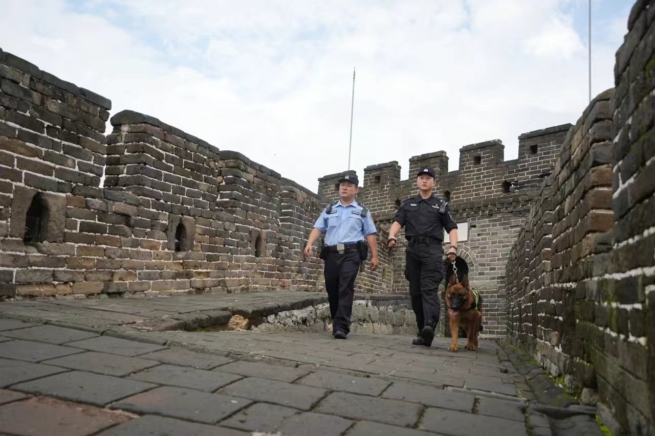 警犬支隊民警帶犬巡邏。受訪者供圖