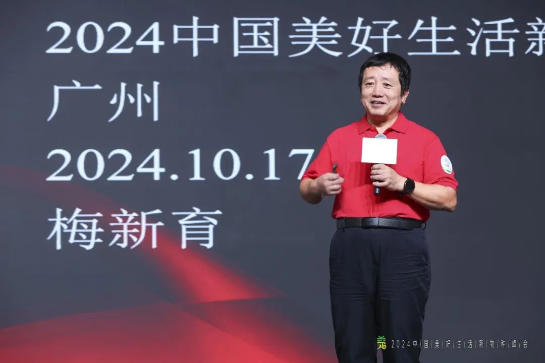 ▲梅新育发表主题演讲。