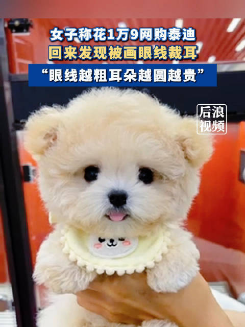 解读问题：妓女的质量好价格贵吗是真的吗？全面解析服务价格与质量之间的关系