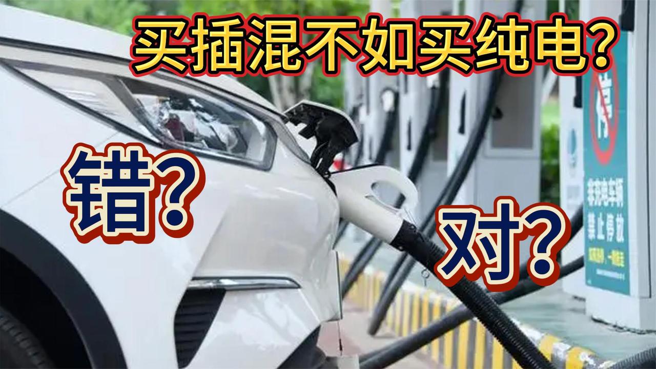 插混不如纯电 电池更小循环更短 一年至少保养一次