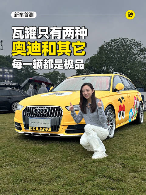 世上的瓦罐只有两种 奥迪和其他 每一辆都是极品！