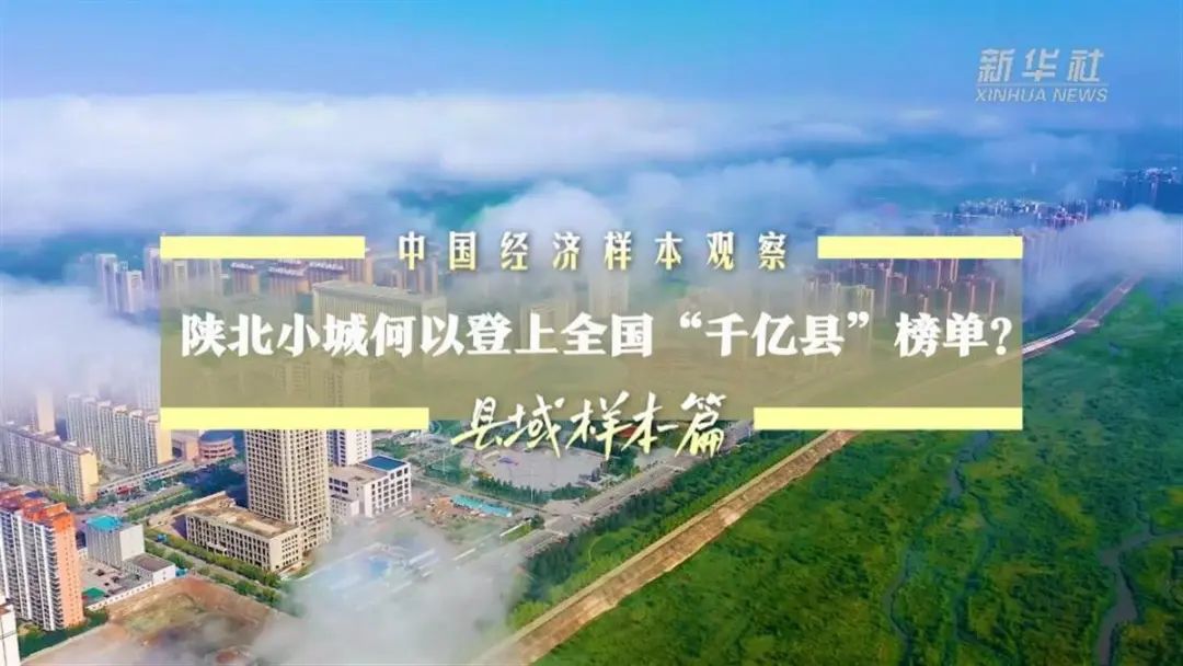 ▲报道截图(图源:新华社)