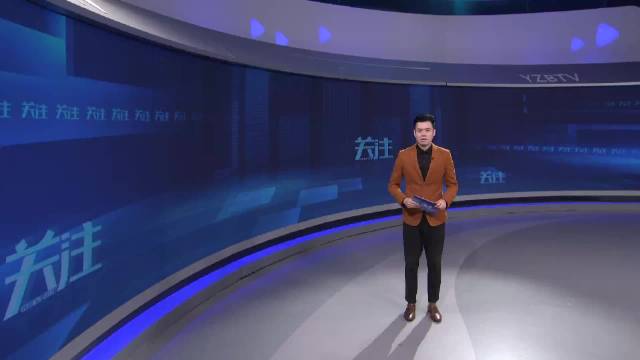 多条支路建成 城市交通“毛细血管”更完善_新浪新闻