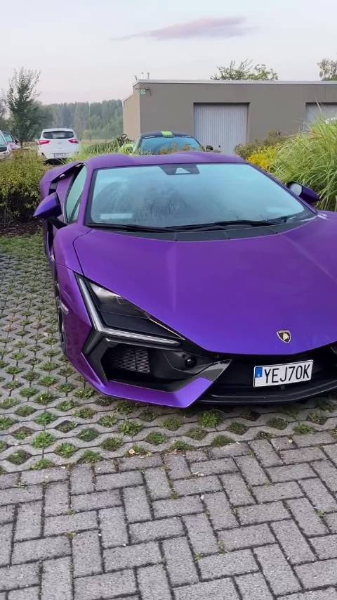 紫色新款大牛让人眼前一亮！