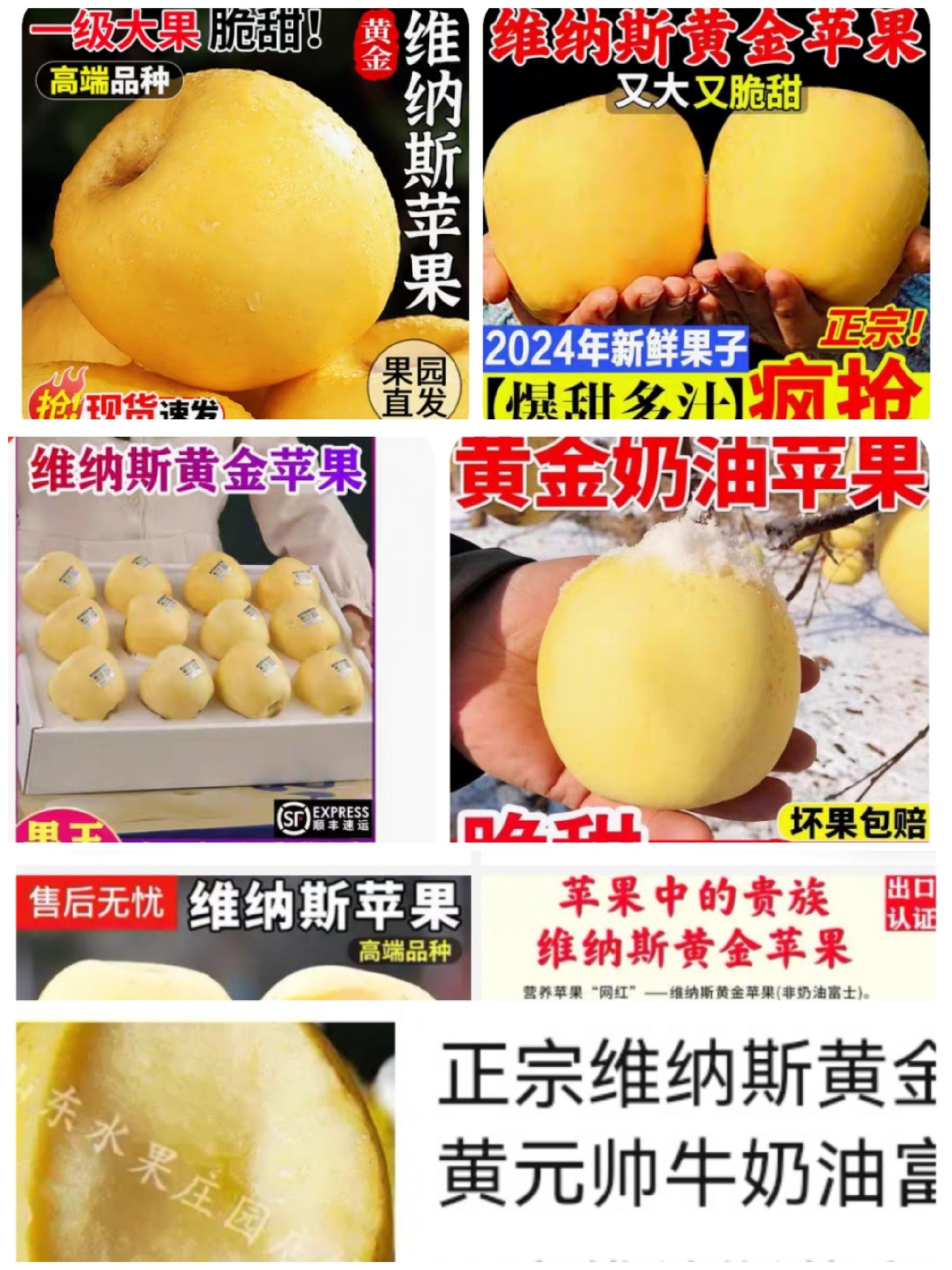 電商平台部分店舖維諾斯蘋果宣傳頁寫著「維諾斯黃金蘋果」。網絡截圖
