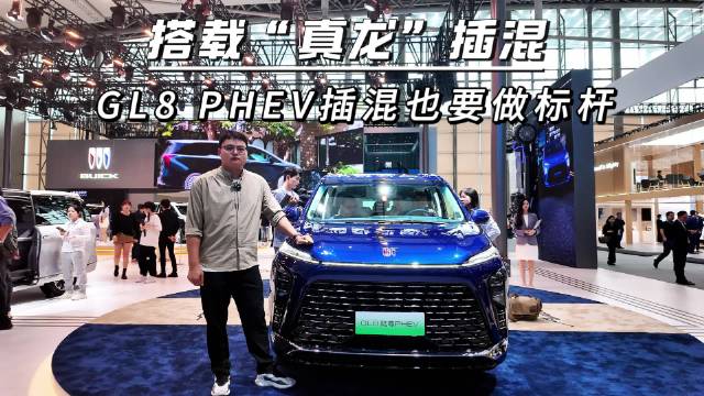 作为MPV市场的风向标，在中国扎根20多年时间里，已拥有超过200万车主