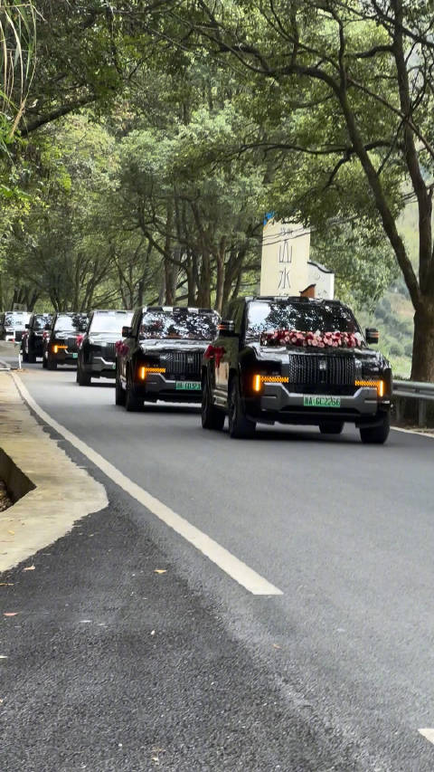 仰望U8婚车队，这气场如何？