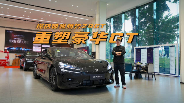 气场不输帕拉梅拉，国产旗舰代表作！