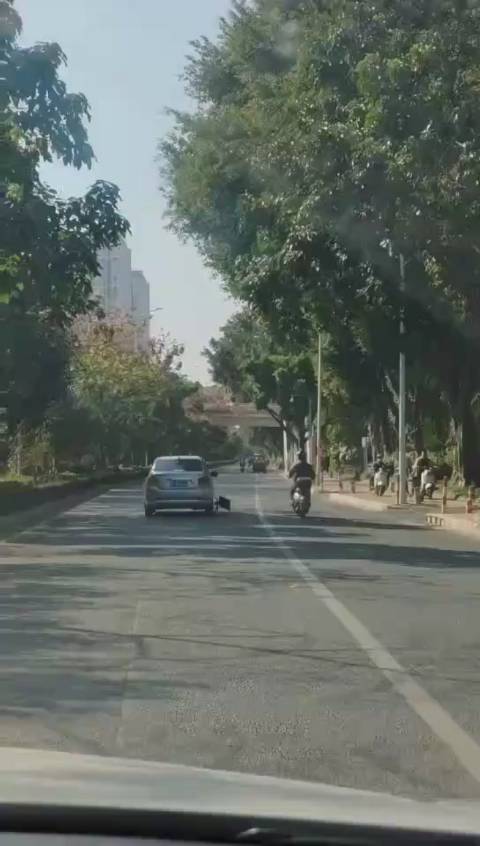 现在四轮定位是边走边修整了？