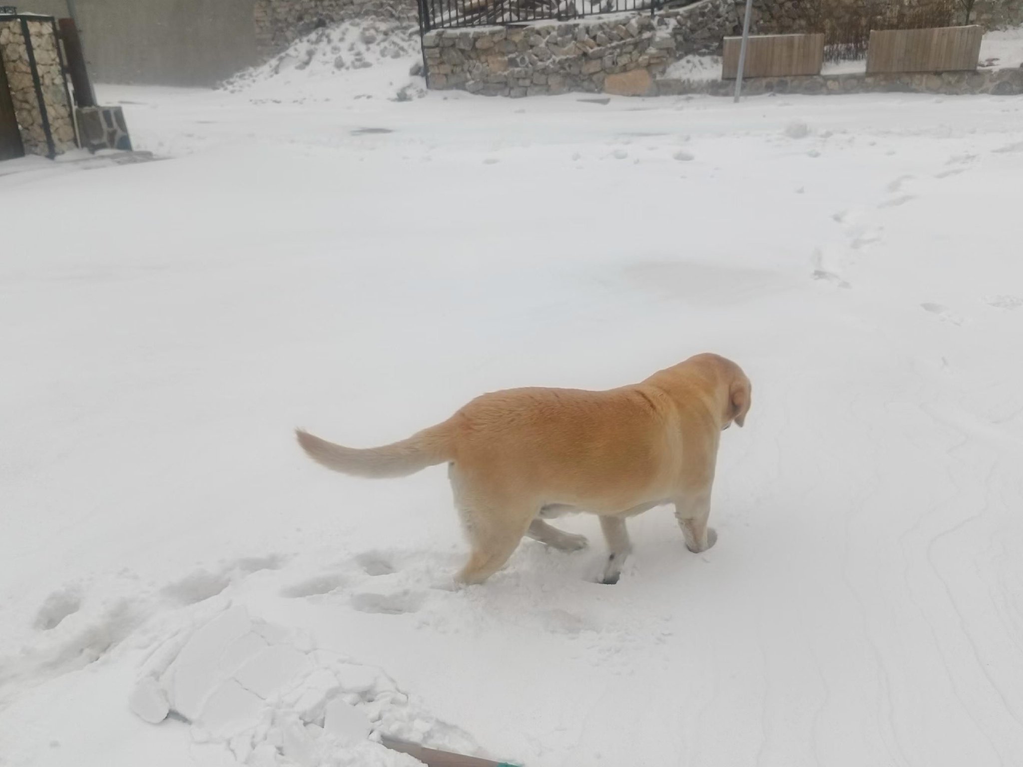 江水河村，積雪已經沒過腳面。周玉珍 攝