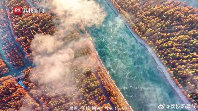 落羽红杉林遇缥缈晨雾