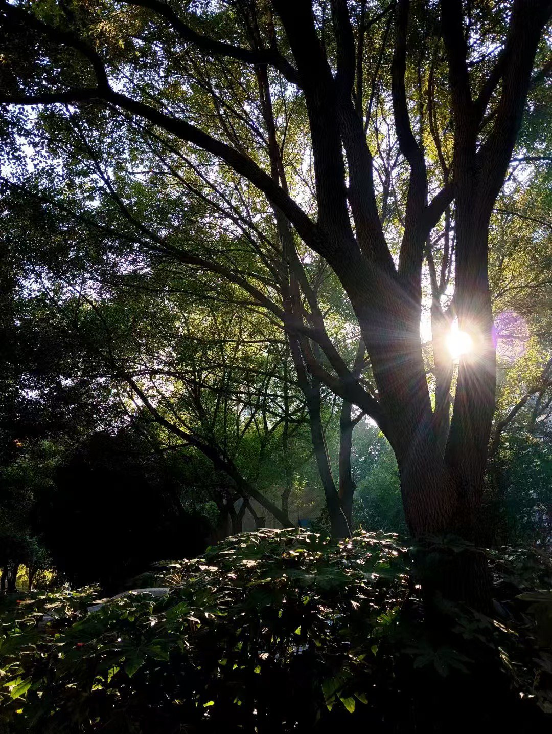 小雪拍攝下的風景。本文圖片 小雪 攝